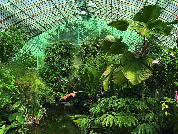 Greenhouses • Le Jardin des Serres d'Auteuil