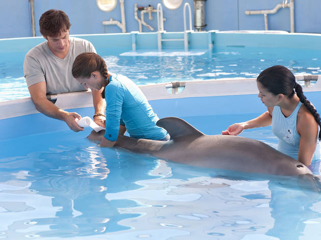 Dolphin Tale2011 Film Review