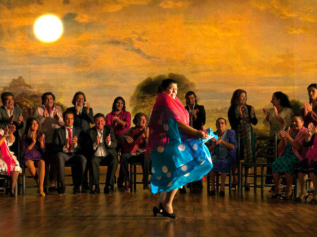 Flamenco, flamenco Flamenco, flamenco