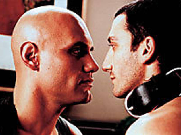 STARE CASE Minujn, right, gets hot under the collar for Van de Couter STARE CASE Minujn, right, gets hot under the collar for Van de Couter.