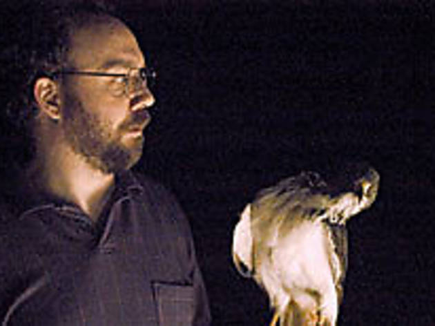 FOR THE BIRDS Giamatti cries fowl FOR THE BIRDS Giamatti cries fowl.