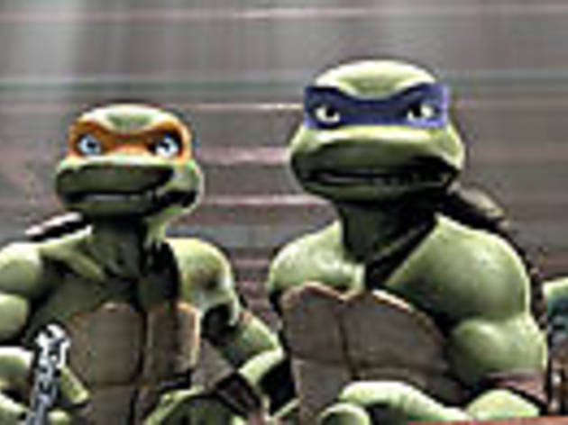 SHELL GAMES These turtles will hurt you SHELL GAMES These turtles will hurt you.