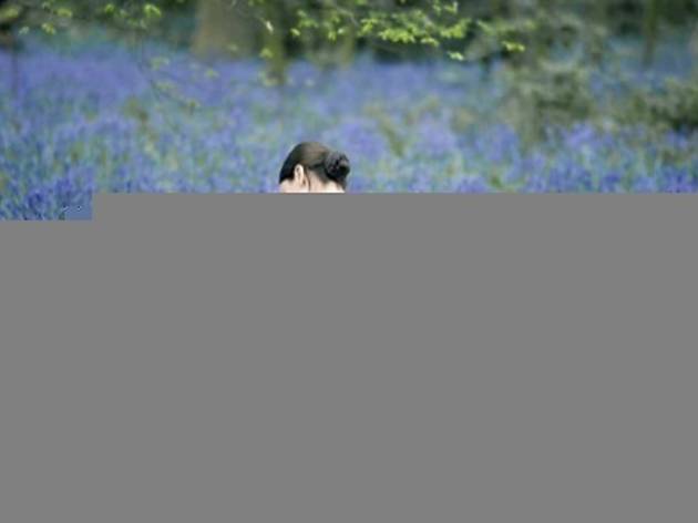 Bright Star 729.fi.x491.bright.jpg
