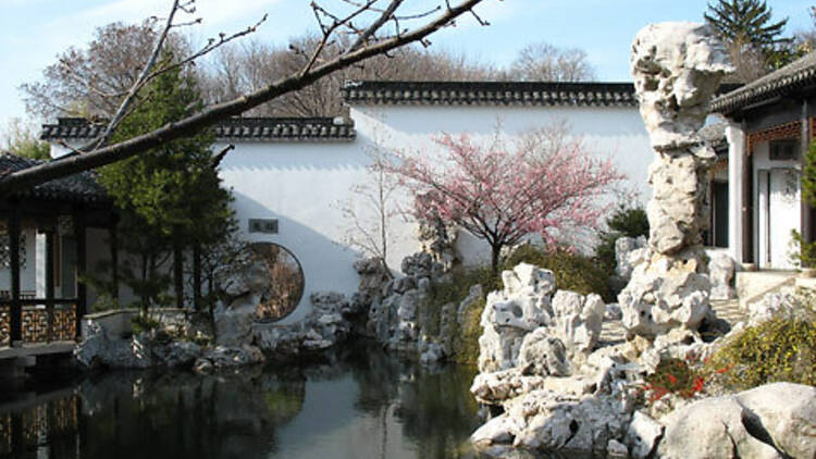 85. New York Chinese Scholars Garden in Snug Harbor