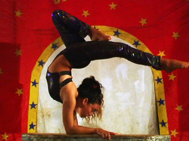 Circo Circo