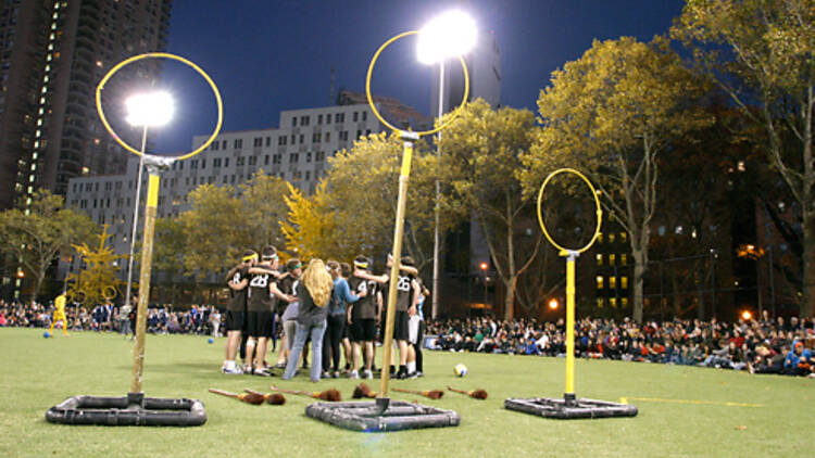 Start a quidditch team 