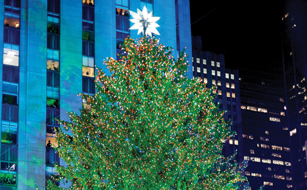 Christmas trees in New York City