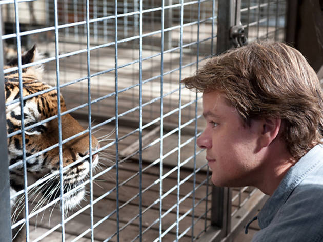 We Bought a Zoo We Bought a Zoo