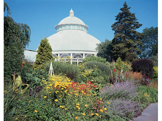 (Photograph: Mick Hales)