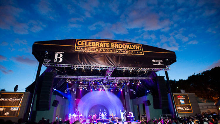 Celebrate Brooklyn!