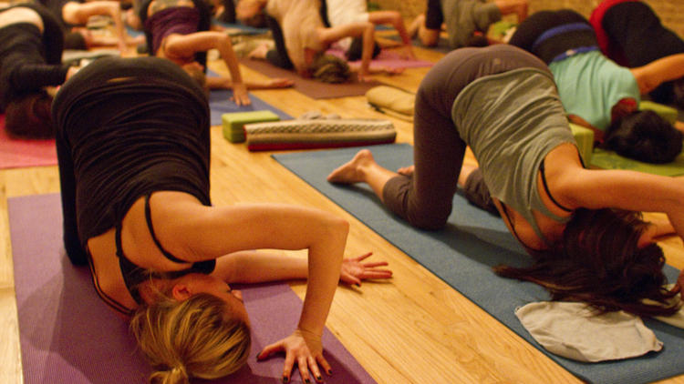 Yoga Classes in Lisbon - Private or Group - Organic Flow Living