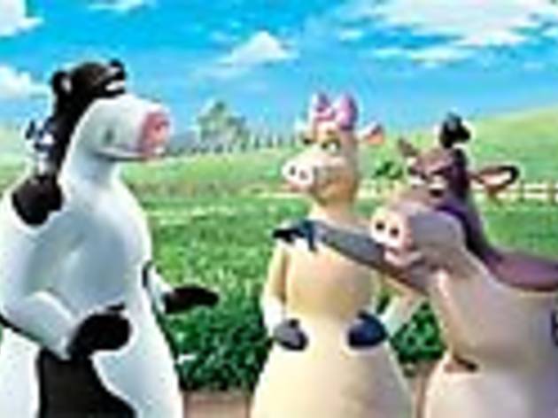 WHERE'S THE BEEF? Bovine bumptiousness rocks the farm WHERE'S THE BEEF? Bovine bumptiousness rocks the farm.