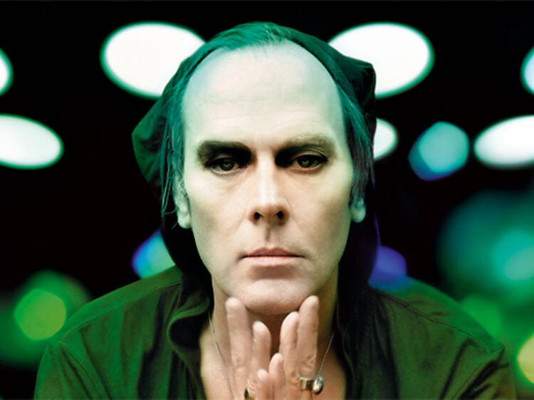 Peter Murphy