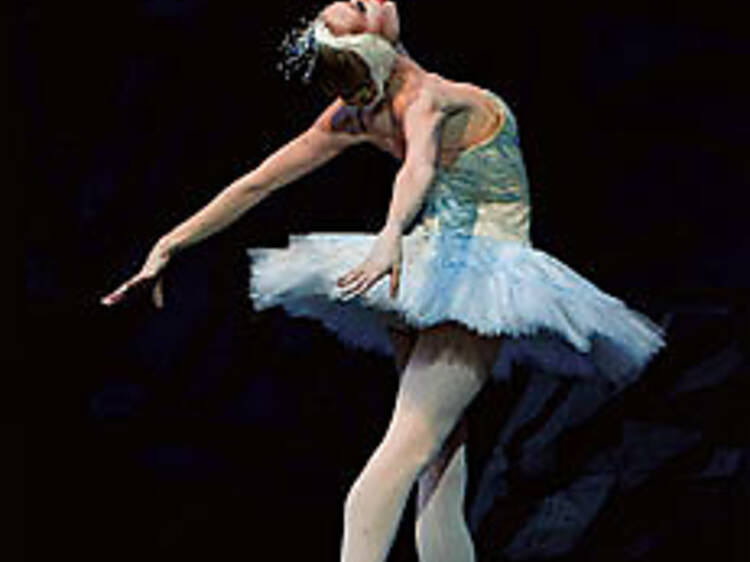 TUTU MUCH Her turn as Odette/Odile was a shining moment for Sara Mearns.