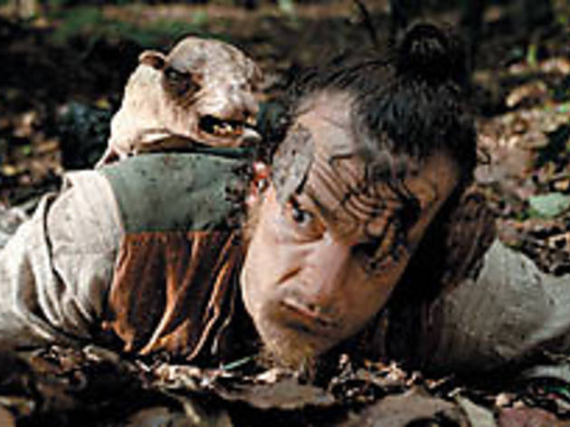 WOOLLY BULLY An unfortunate soul becomes a hungry lamb's lunch WOOLLY BULLY An unfortunate soul becomes a hungry lamb's lunch.