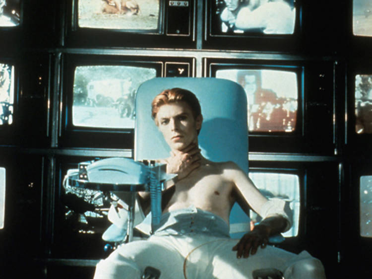 The Man Who Fell to Earth (1976)