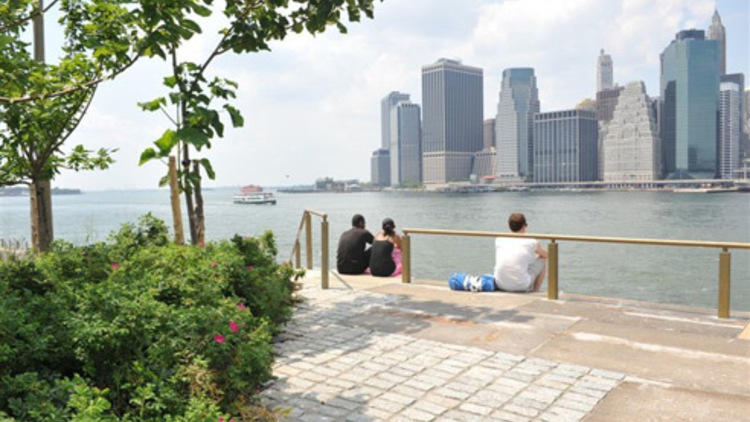 Brooklyn Bridge Park