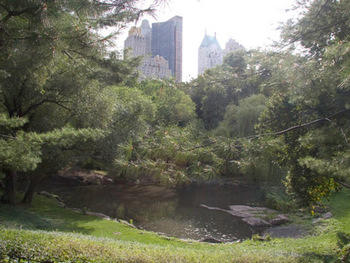 Central Park