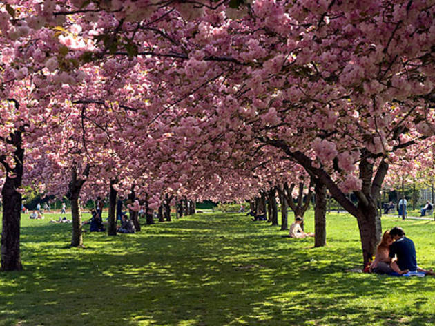 The Brooklyn Museum And Botanic Gardens Parking Lot