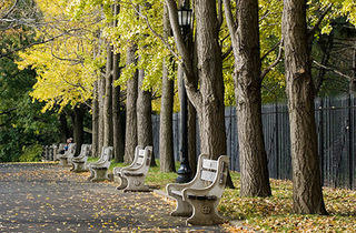 Dining At The Garden Brooklyn Botanic Garden