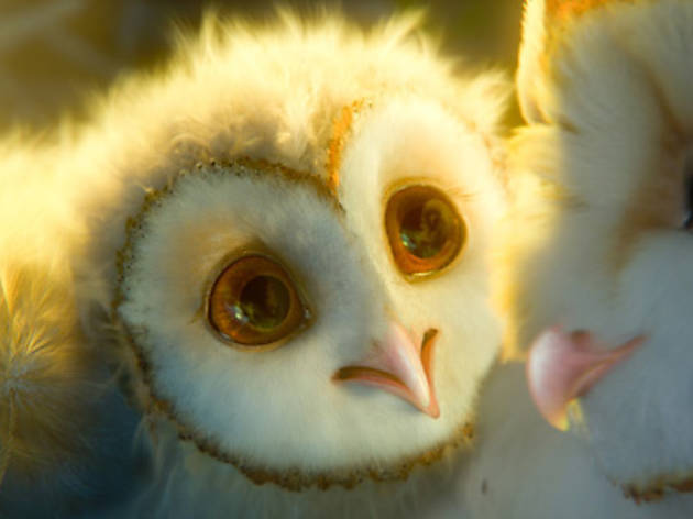 Legend of the Guardians: The Owls of the Ga'Hoole 782.fi.x491.guardians.jpg