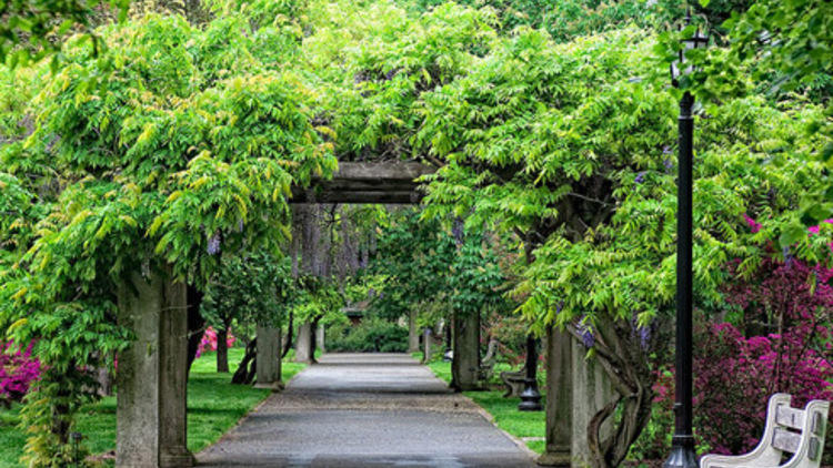 Brooklyn Botanic Garden