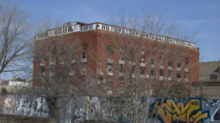 Carroll Gardens (Photo: Kyle Garson)