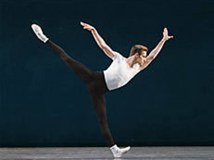 588.x231.dance.op2.jpg