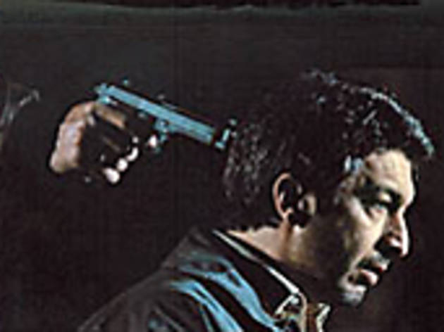 THE DEER HUNTER Or does Darn get captured by the game? THE DEER HUNTER Or does Darn get captured by the game?