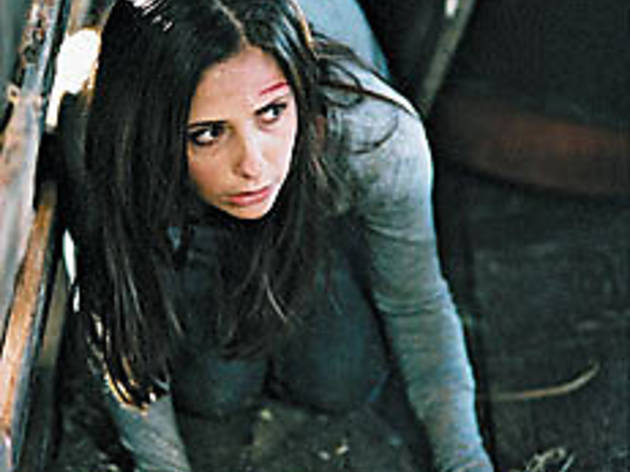 CRAWL BEFORE YOU WALK Gellar goes back to basics CRAWL BEFORE YOU WALK Gellar goes back to basics.
