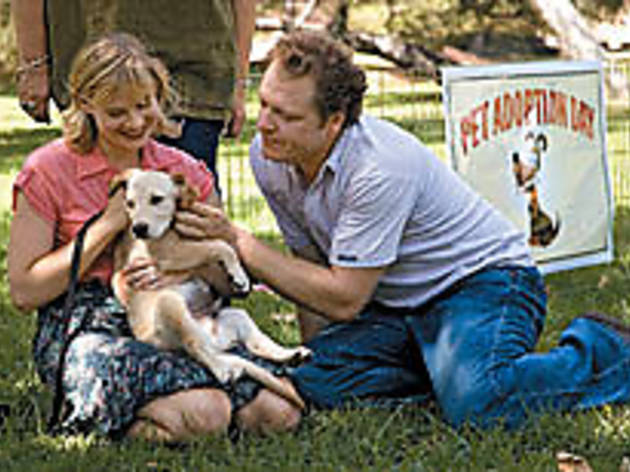HEAVY PETTING Hamilton, left, laps up the attention HEAVY PETTING Hamilton, left, laps up the attention.