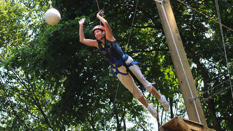 Scream at Alley Pond Park Adventure Course