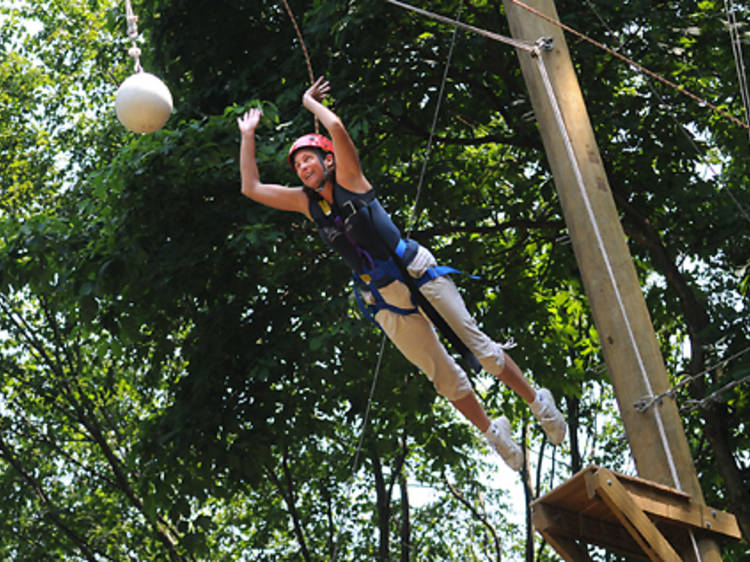 Scream at Alley Pond Park Adventure Course