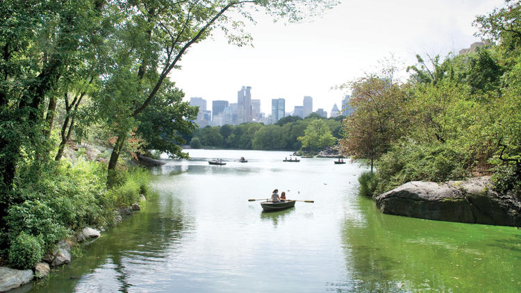 Go boating in Central Park