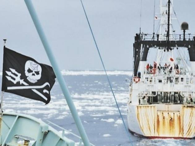 BONES TO PICK Antiwhaling activists fly the Jolly Roger BONES TO PICK Antiwhaling activists fly the Jolly Roger.