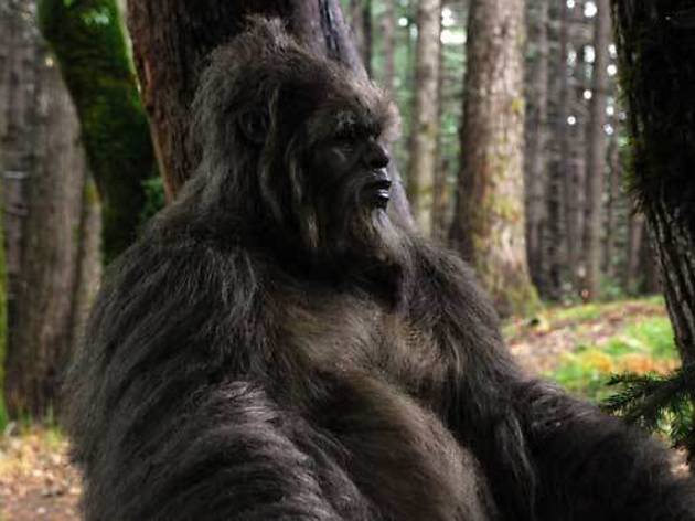 A sasquatch reflects in Letters from the Big Man A sasquatch reflects in Letters from the Big Man