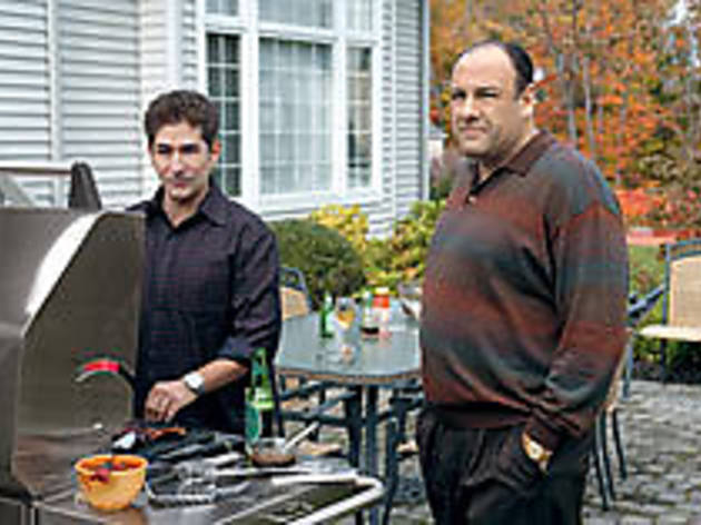 Twin Peaks: The Second Season 601.x231.timein.sopranos.open.jpg