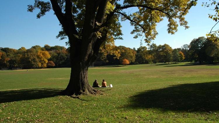 Prospect Park Image