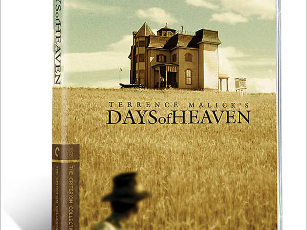 Days of Heaven 630.x600.timein.dvd.rev.sha.jpg