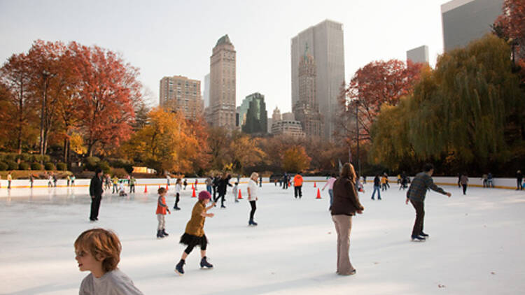 Central Park, Wollman Rink