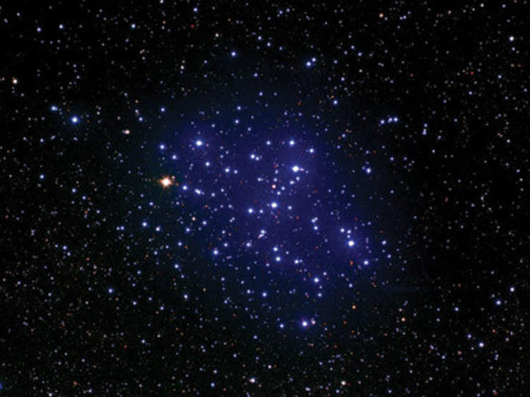Star Gazing Wonders - Astronomy Night