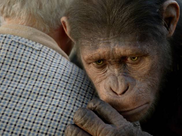 Caesar, voiced by Andy Serkis, in Rise of the Planet of the Apes 2 Caesar, voiced by Andy Serkis, in Rise of the Planet of the Apes 2