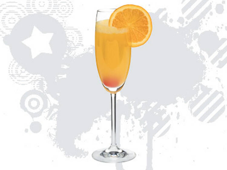 717.ft.x491.mimosa.jpg