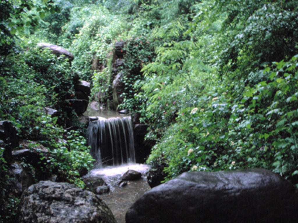 Eight things you must do in Prospect Park, Brooklyn