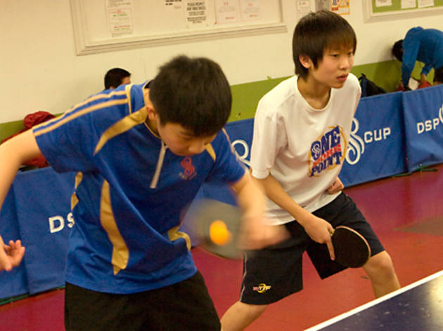 Table Tennis Table Tennis (Photograph: Tony Hung)