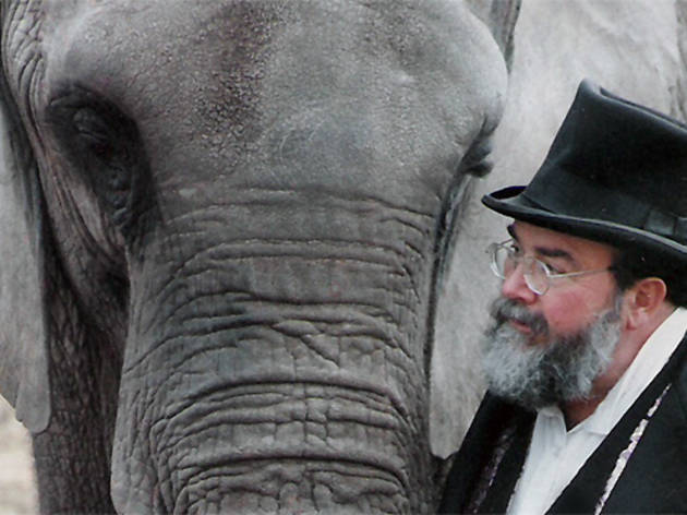 One Lucky Elephant 816.fi.ONELUCKYELEPHANTrev816.jpg
