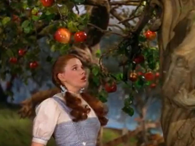 832.fd.832foodonfilm38wizardofoz.jpg
