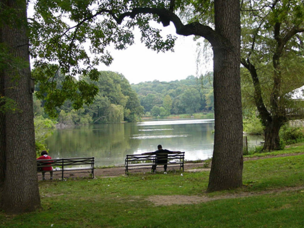 Best Picnic Spots in NYC Including Parks and Gardens