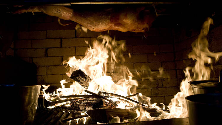 A fire with a whole animal cooking