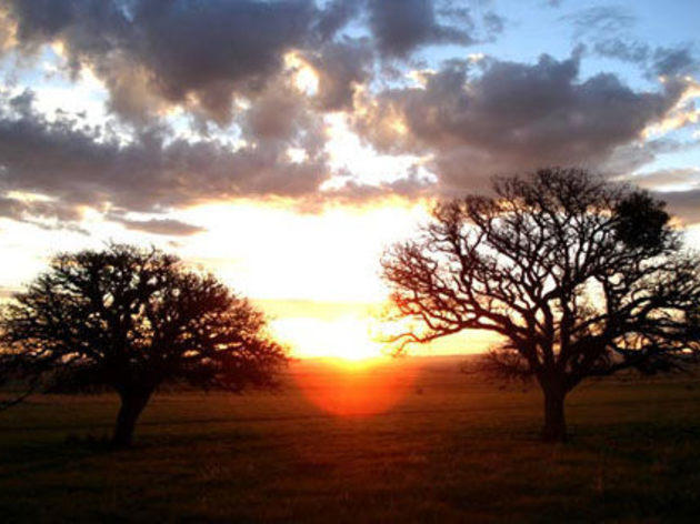 SILENT LIGHT (2007) SILENT LIGHT (2007)